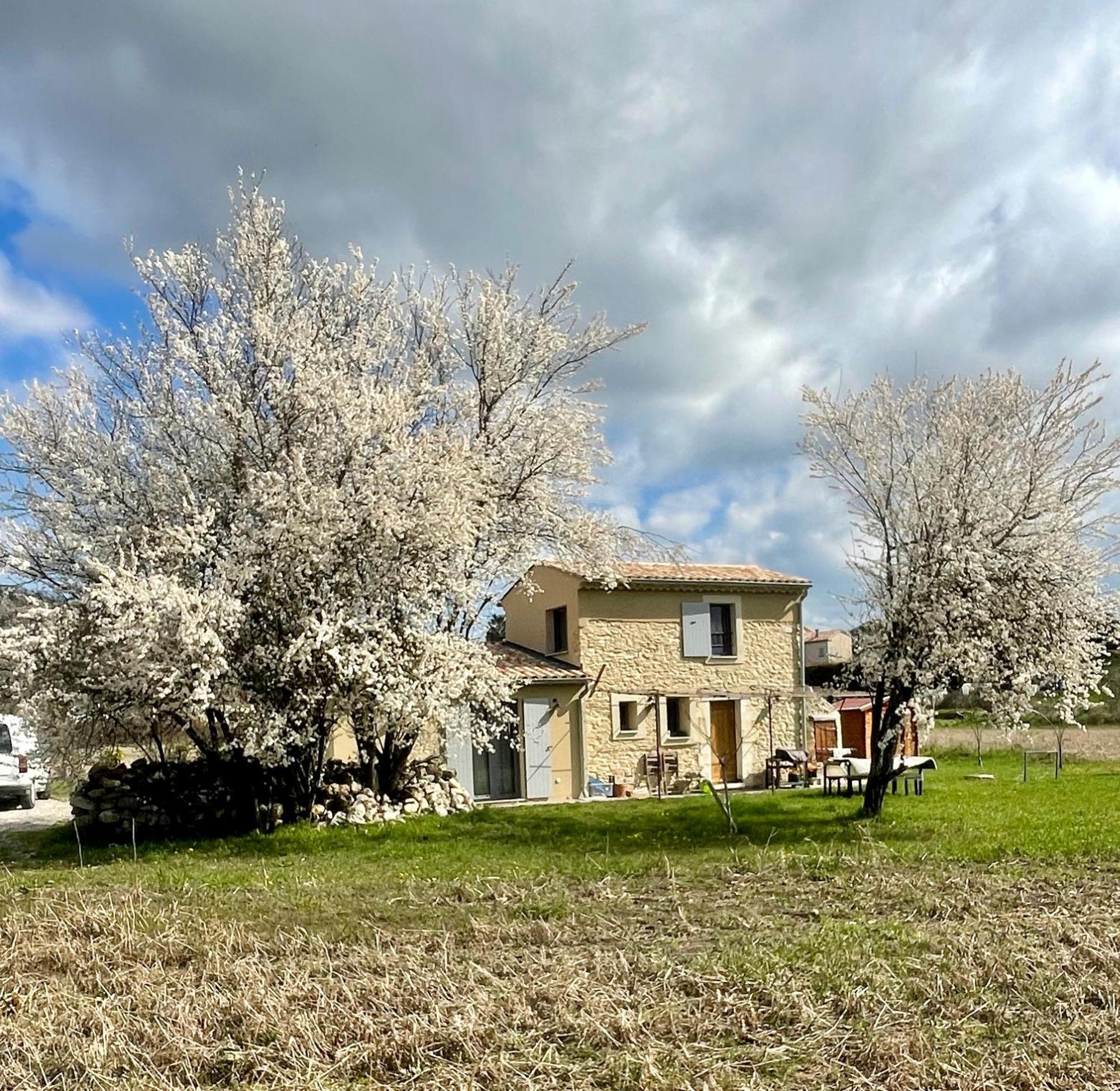 Le Petit Cabanon Provencal Villa Mane  Exterior foto